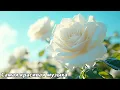 Download Lagu Музыка для души🌿Которую хочется слушать вечно🌿Лучшие композиции Сергея Грищука #2