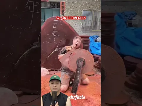 MAMA MARAH PAPA HANCURIN KAYU JATI‼️😱 @NICEHRFACTS #remix #dubbing #trending