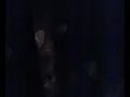 mad professor, ariwa studio band - kunta kinte dub live