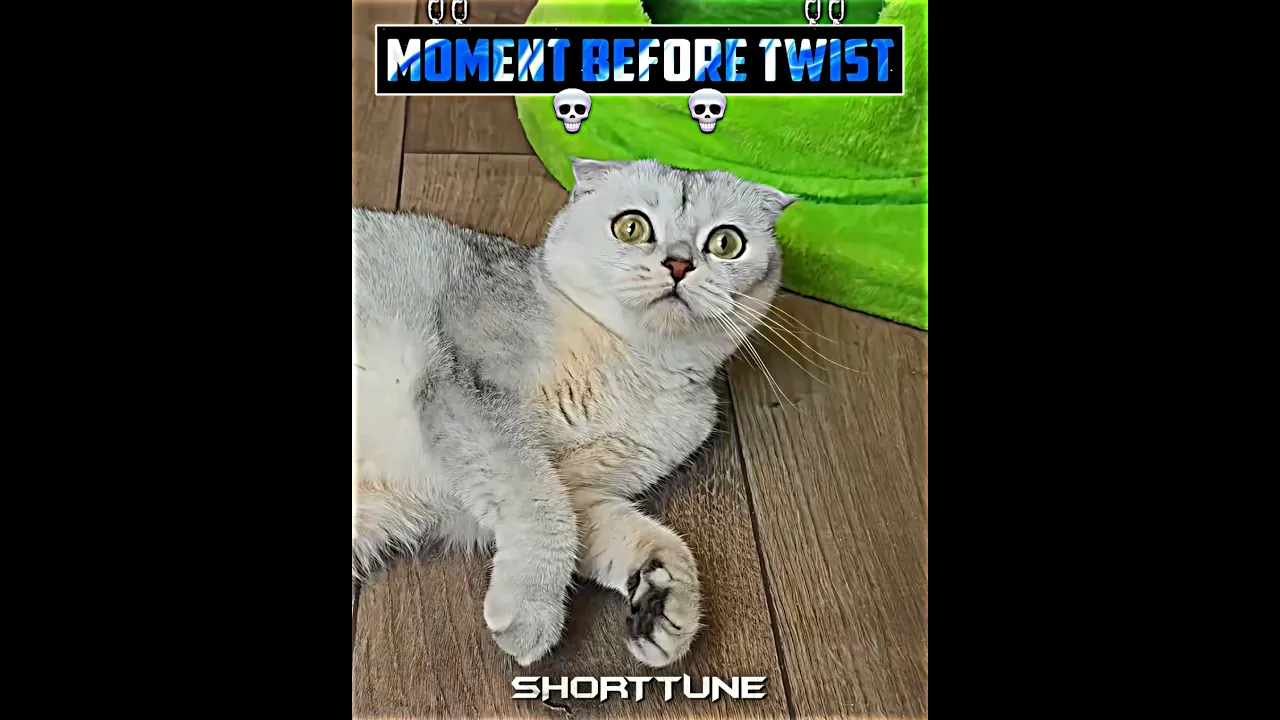 #tiktokeffects