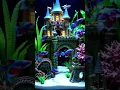Download Lagu Red Arowana Fishes in Disneyland Aquascape #vocal #unicorn #eurovision #singer