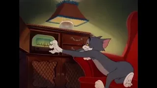 شيل شيل شيل شيل شيل يا طويل العمر شيل شيل شيل الذهب شيل      دندنها