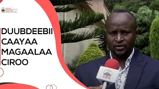 Duubdeebii Caayaa Magaalaa Ciroo 