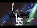 Download Lagu The Vamps - Oh Cecilia (Breaking My Heart) (Live In Birmingham) MP3