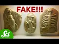 Download Lagu 7 Of The Weirdest Fossil Hoaxes Ever