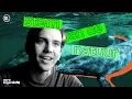 Download Lagu Door AI kunnen we binnenkort met dieren praten | VPRO Tegenlicht