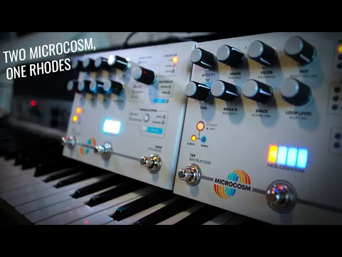 Hologram Microcosm Multi-Mode Granular Looper/Delay | Delicious Audio