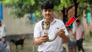 आखिर क्या है इस साँप के पूछ छोटा होने की वजह? कई लोगों इसे साँप का बहुत पुराना होना मानते हैं!