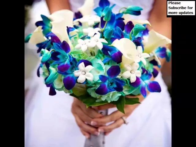 BLUE DENDROBIUM ORCHIDS FLOWER BREED PICTURES OF BLUE DENDROBIUM ORCHIDS