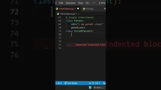 Single inheritance in python