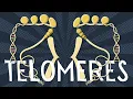 Telomeres explained in less than 5 minutes
