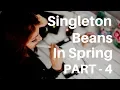 Spring Singleton Beans Easy Explanation Part 4 - entirejava com