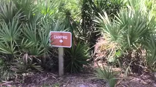 Episode 47 – Island Hopping on a Coconut