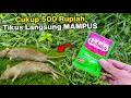 Download Lagu Cuma modal 500 Rupiah, Tikus Gak Balik Balik lagi‼️ BUKTIKAN SENDIRI