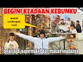 Download Lagu KEADAAN KEBUNKU ,SUPERMARKET\u0026 MAKAN SEADANYA HABISIN YANG ADA  MP3