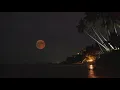 Rare blood moon rises early Tuesday Here s how to watch