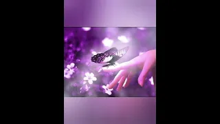 تأملت الدنيا      بصوت  حسين الجسمي             دندنها