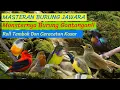 MASTERAN BURUNG JAWARA | MASTERAN KOMBINASI ROLL TEMBAK DAN CERECETAN KASAR