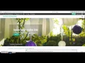 Customizr Theme - Polylang Plugin