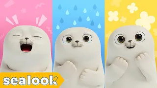 Funny Sad And Somewhat Happy SEALOOK Compilation 