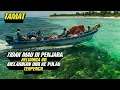 Download Lagu TAMAT ‼️ Tidak Mau Di Penjara Keluarga Ini Melarikan Diri Ke Pulau Terpencil