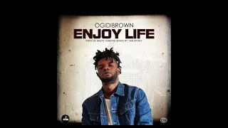 ogidibrown enjoy life audio slide 