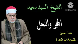 الشيخ السيد سعيد الحجر والنحل 2010 