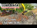 Download Lagu WOW GOKIL PAKDE MUJI SATU HARI 150 METER BUAT TANGGUL \u0026 KERUK KALI SERENGSENG SUKATANI LUAR BIASA❗️