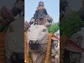 Download Lagu Akad bam bagad bam #youtubeshorts #mahakal #song #ytshorts #shiv #shorts #mahadev #bholenath #music