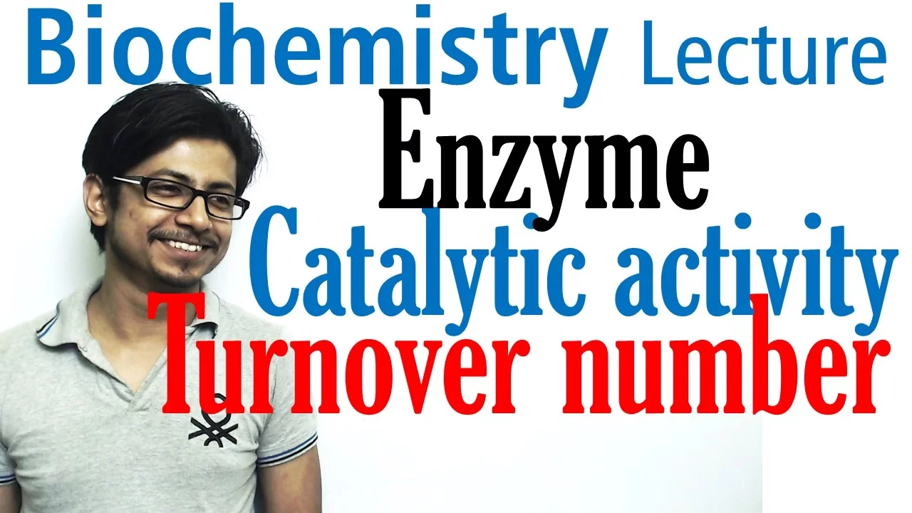 Catalytic efficiency (kcat/km) and turn over number of enzyme