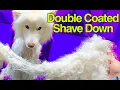 The ONLY option was to do a SHAVE DOWN