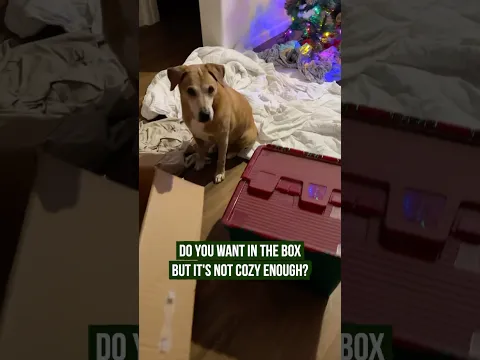 a little throwback to gilly’s favorite part of christmas
