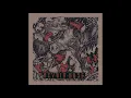 Download Lagu DEVOID - Case Whore