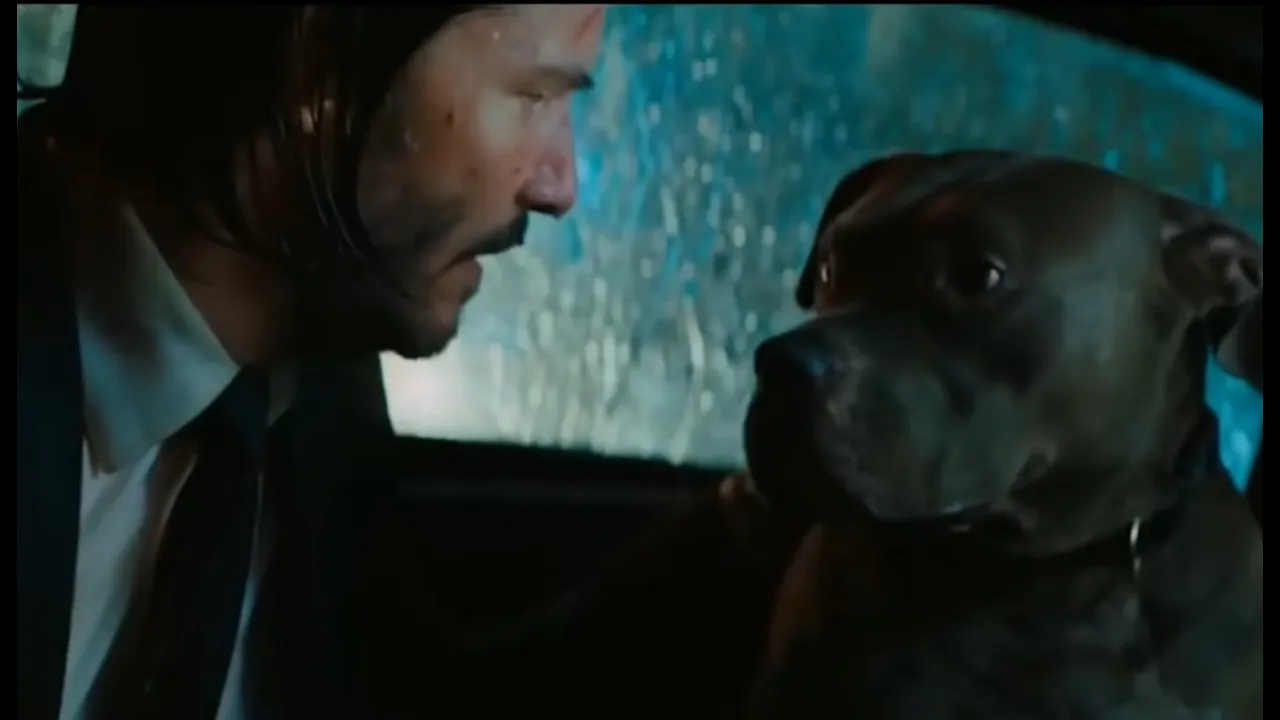 John Wick in my mind