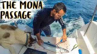 SAILING CATAMARAN THROUGH THE MONA PASSAGE | Sailboat Living