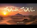 Lagu sole soul - (Afro House International Pulse 2025 | Deep Melodic Flowe) –Andrw Flamez afro house