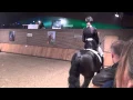 Lagu For Gribaldi kwpn Stallion Show Van Uytert 2015