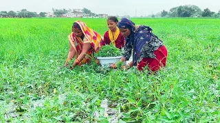 नारी/कर्मता/करेमुआ का साग और चावल गांव के देसी तरीके से बनाएं प्लेट तक चाट जायेंगे | Karemua Ka Saag