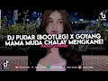 Download Lagu DJ PUDAR (BOOTLEG) X GOYANG MAMA MUDA VIRAL TIKTOK TERBARU 2025 !