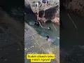 Download Lagu 3 pemuda ini hampir jadi korban Karang Hawu  Pelabuhan Ratu #beritaterkini #videoviral #infoviral