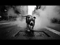 "Bring Out The Worst" (feat. Joyner Lucas) - DMX