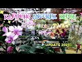 KAMPUNG ANGGREK KEDIRI | UPDATE 2021