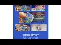 Spirit Pieces Cremation Jewelry Unboxing My Memorial Urn Locket Honest Review