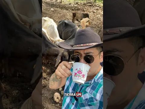 Eso no se lo esperaban? El patrón Compadre Juan Plutarco.