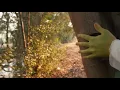 Shrek at CMT