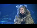 Memory (cats) remix