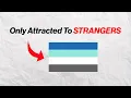 NICHE Pride Flags Explained
