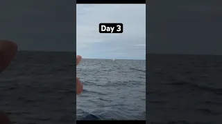 Day 3 sailing from Oregon to Hawaii