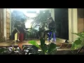 Download Lagu Cek sound.... bunga hitam - kamilah peluru.... (cover)