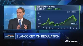 Elanco CEO on earnings and industry regulation